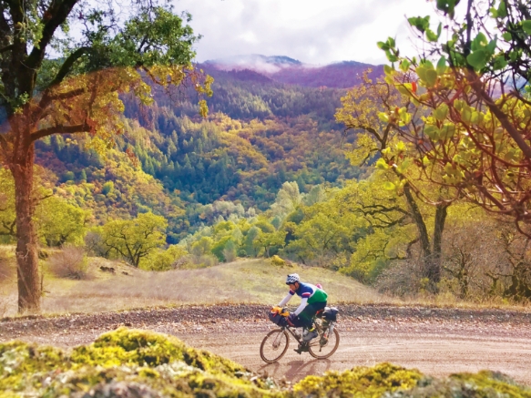 Comova Water Bottle - Cycling Trips, California Adventure Cycling