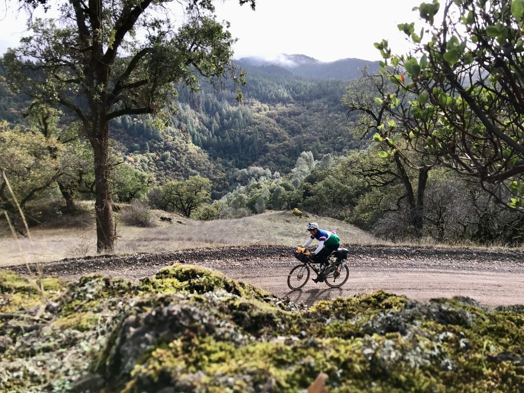 Cyclist on Northern California gravel tour cycling adventure through mossy forests and oak woodlands