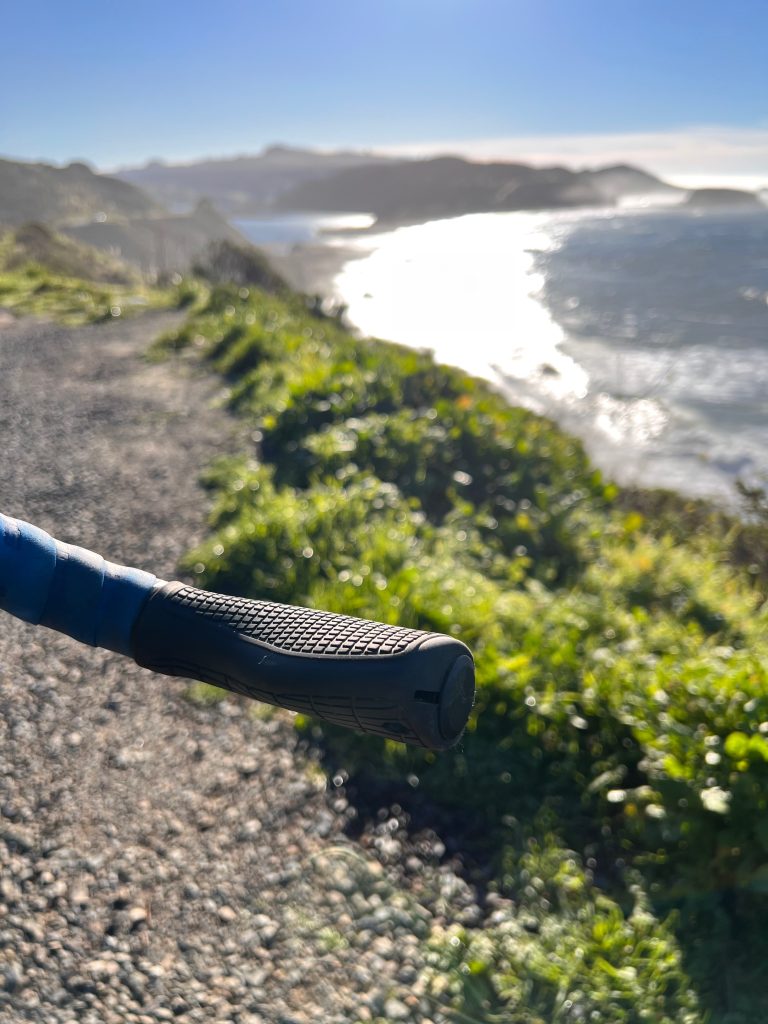 Redshift Cruise Control Drop Grips offer comfort for bike touring and long rides