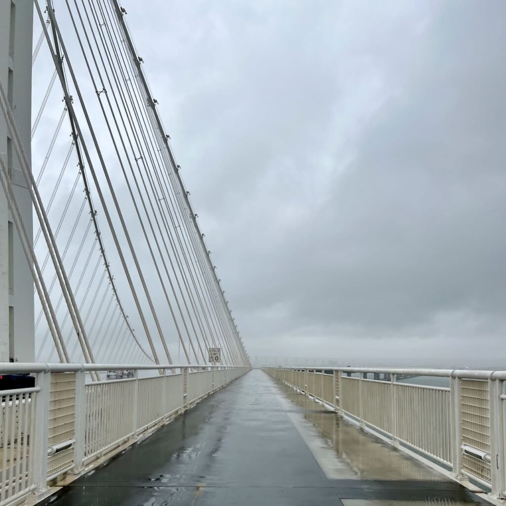 A protected bike path for cycling in wet weather and rain