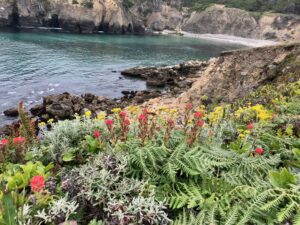 Views included for free on your cycling adventures