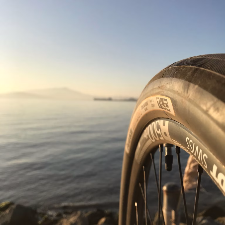 Bicycle tire near a seashore