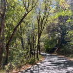 Carmel Valley Rd