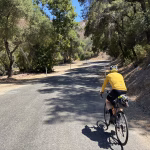 Carmel Valley Rd 2