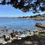 Monterey