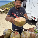 Roadside Coconut Water near Santa Cruz